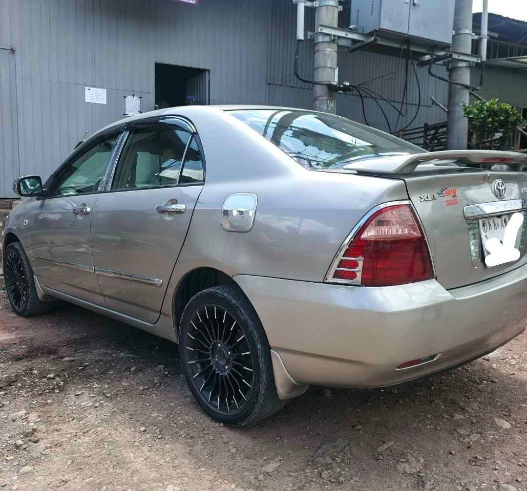 2024 Model-Toyota Corolla