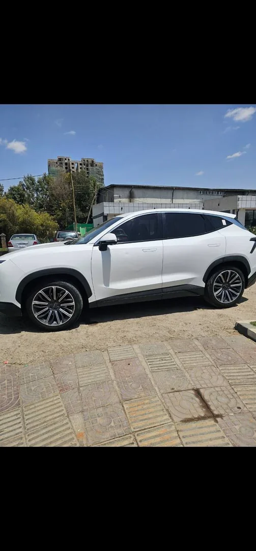 2022 Model-Jetour Dashing