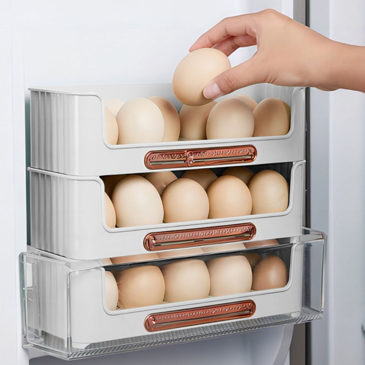 Egg Storage Rack