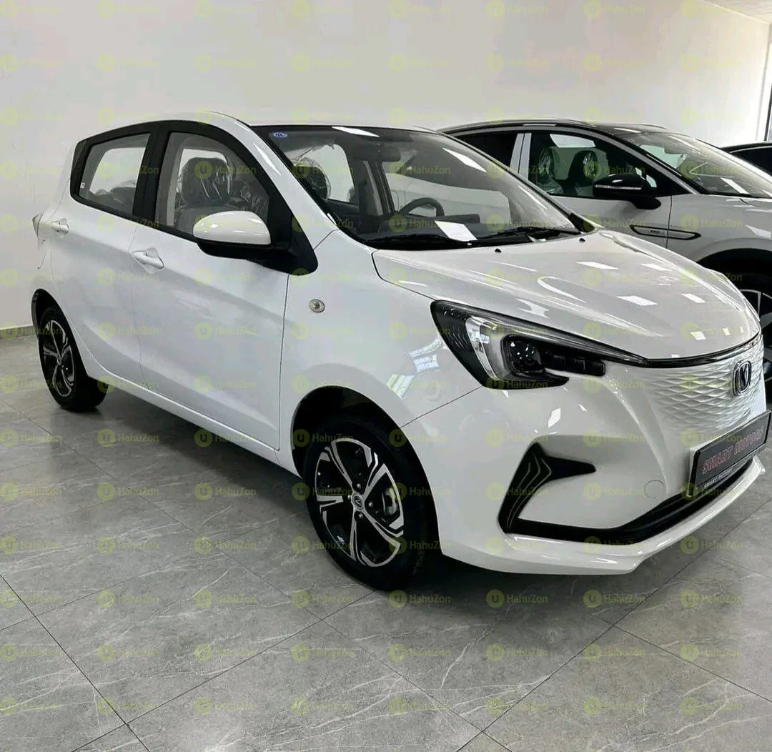 2025 Model-Changan E-star