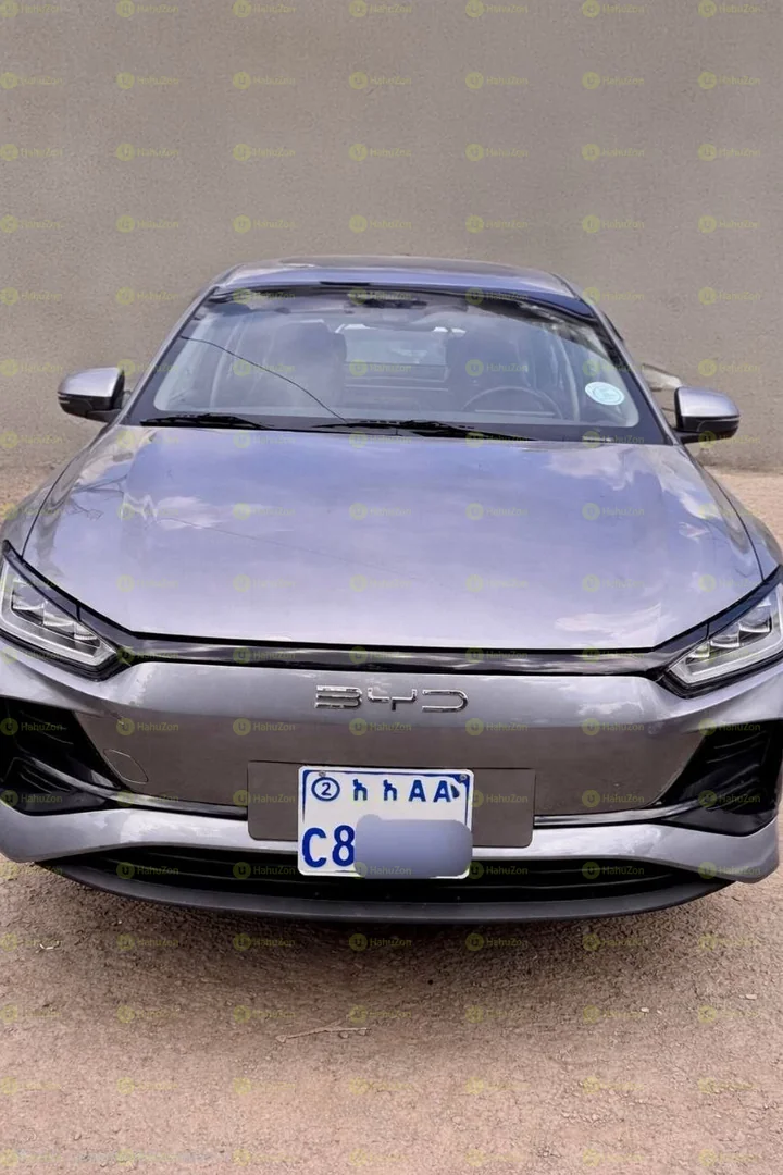 2025 Model-BYD e2