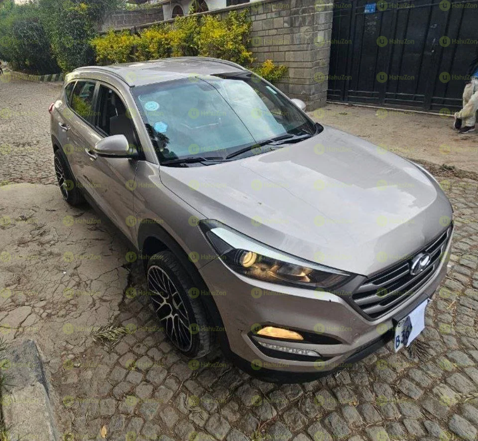 2020 Model-Tucson Eroup
