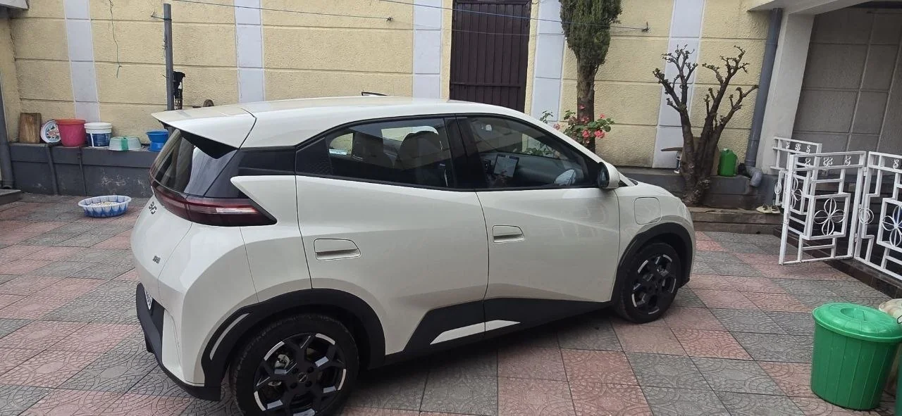 2024 Model-BYD Seagul
