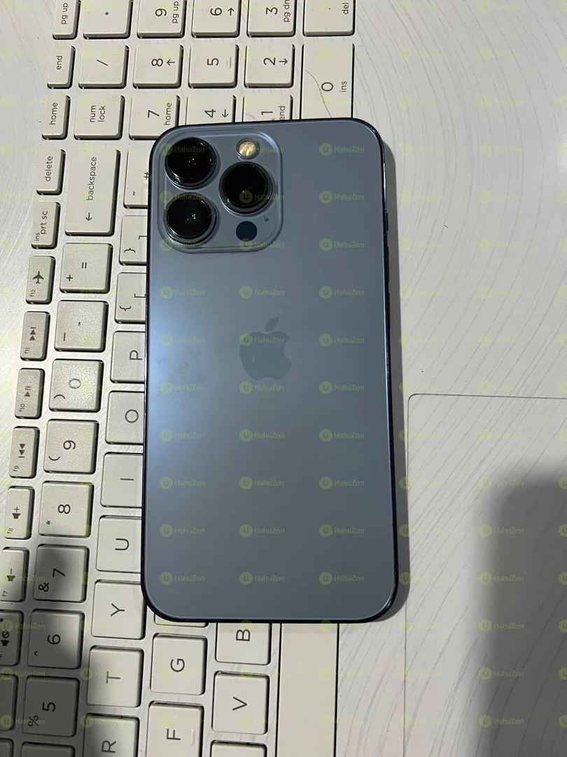 Apple iPhone 13 Pro Max