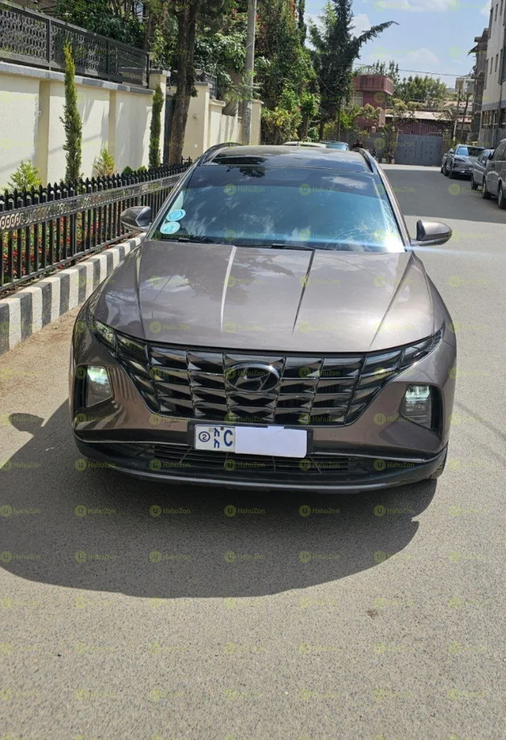 2022 Model-Hyundai Tucson