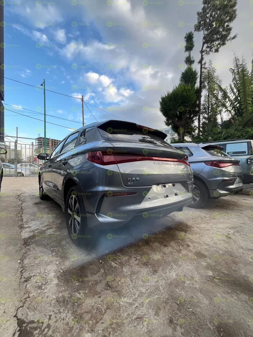 2025 Model-BYD E2