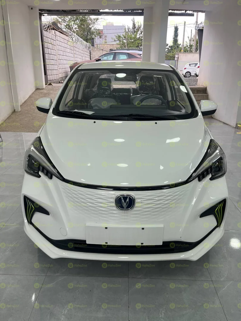2024 Model-Changan BenBen E Star