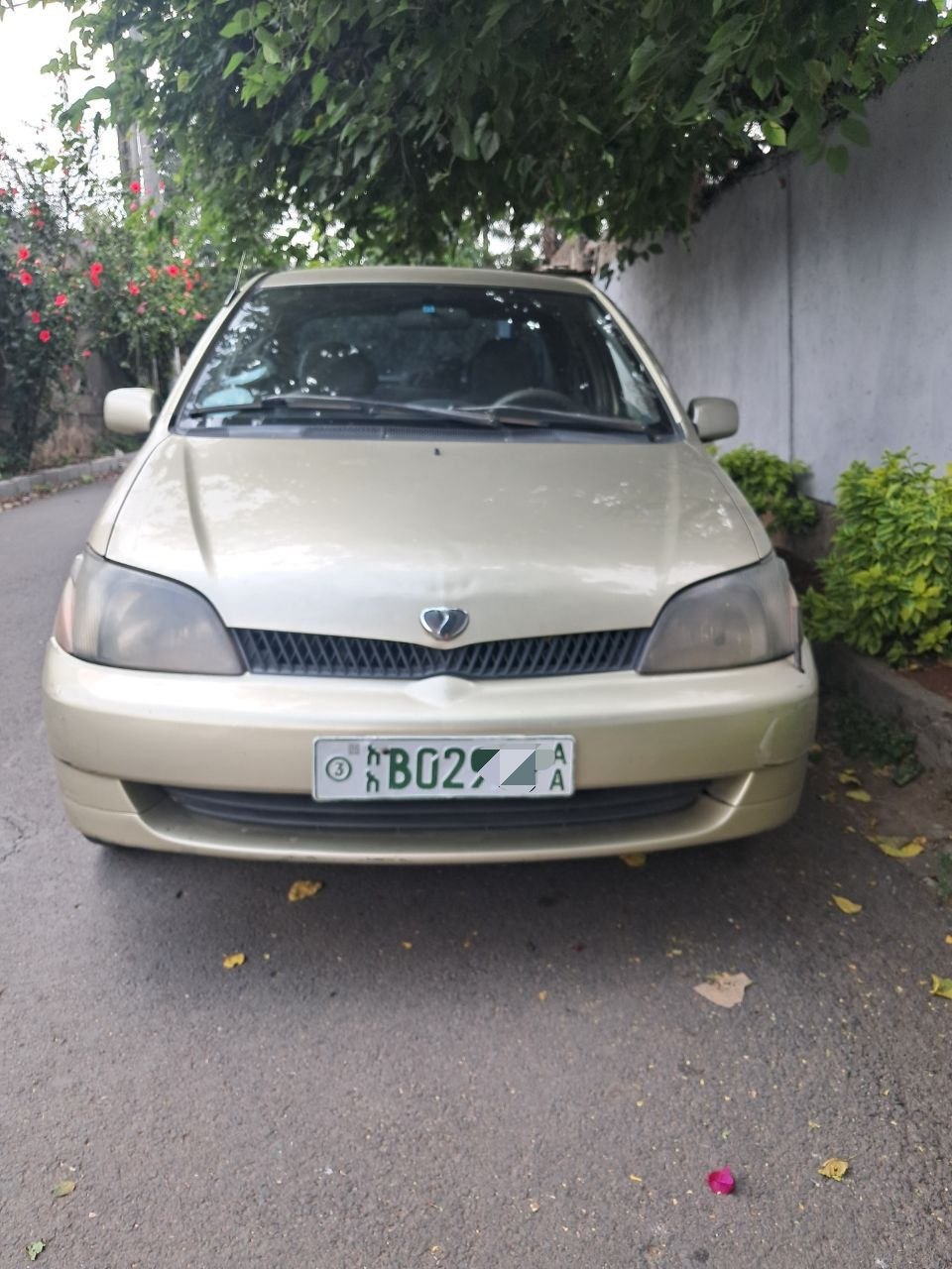 2001 Model-Toyota Platz