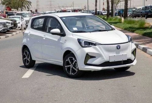 2024 Model-Changan E-star