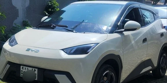 2024 Model- BYD Seagull
