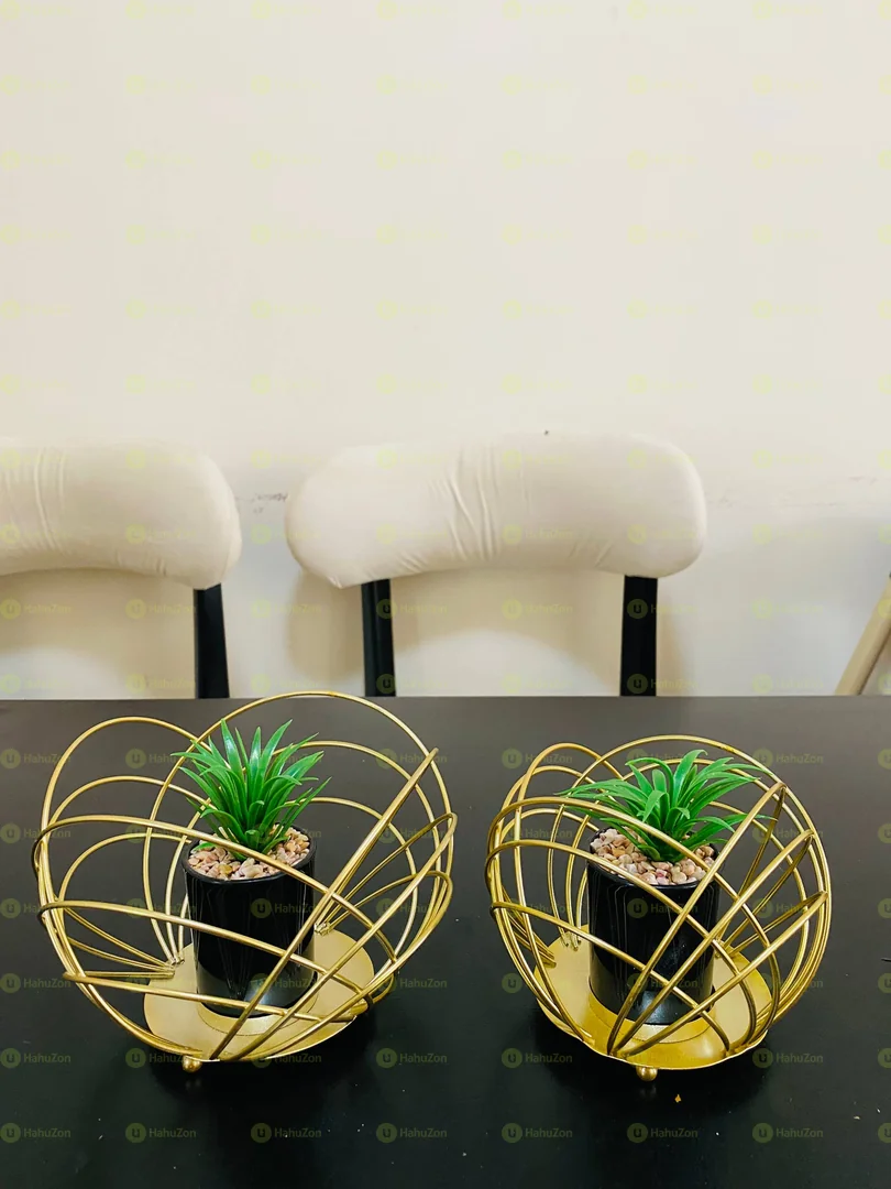Golden Metal Wire Planter Decorative