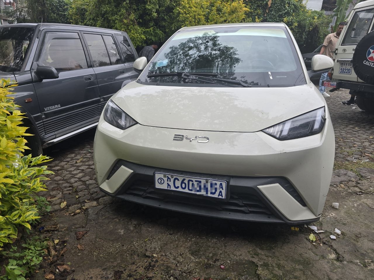 2024 Model-BYD Seagull