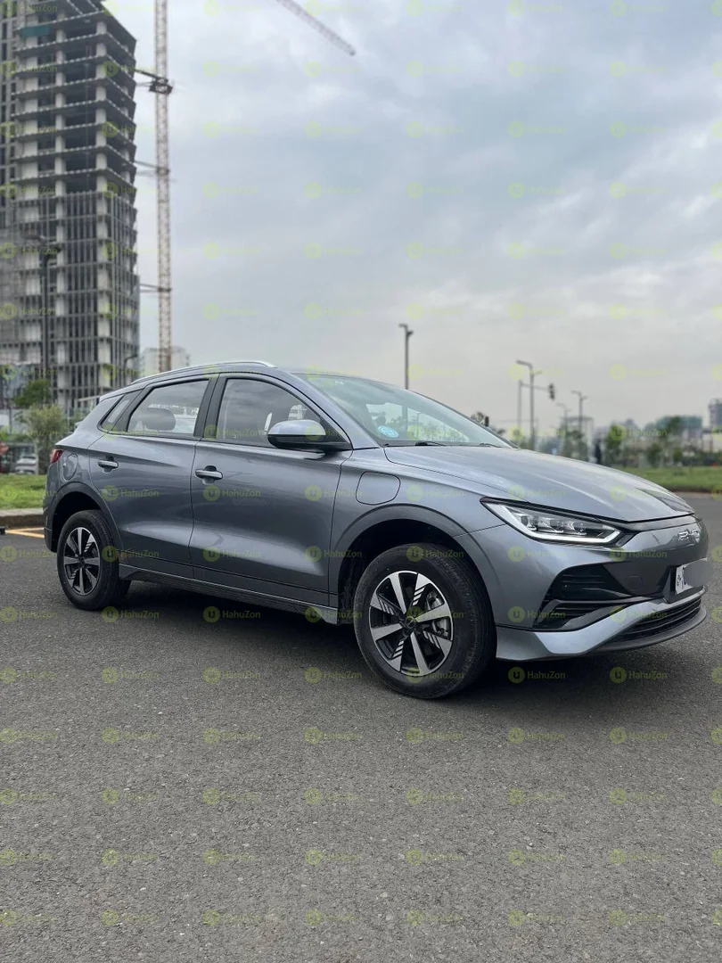 2025 Model-BYD e2