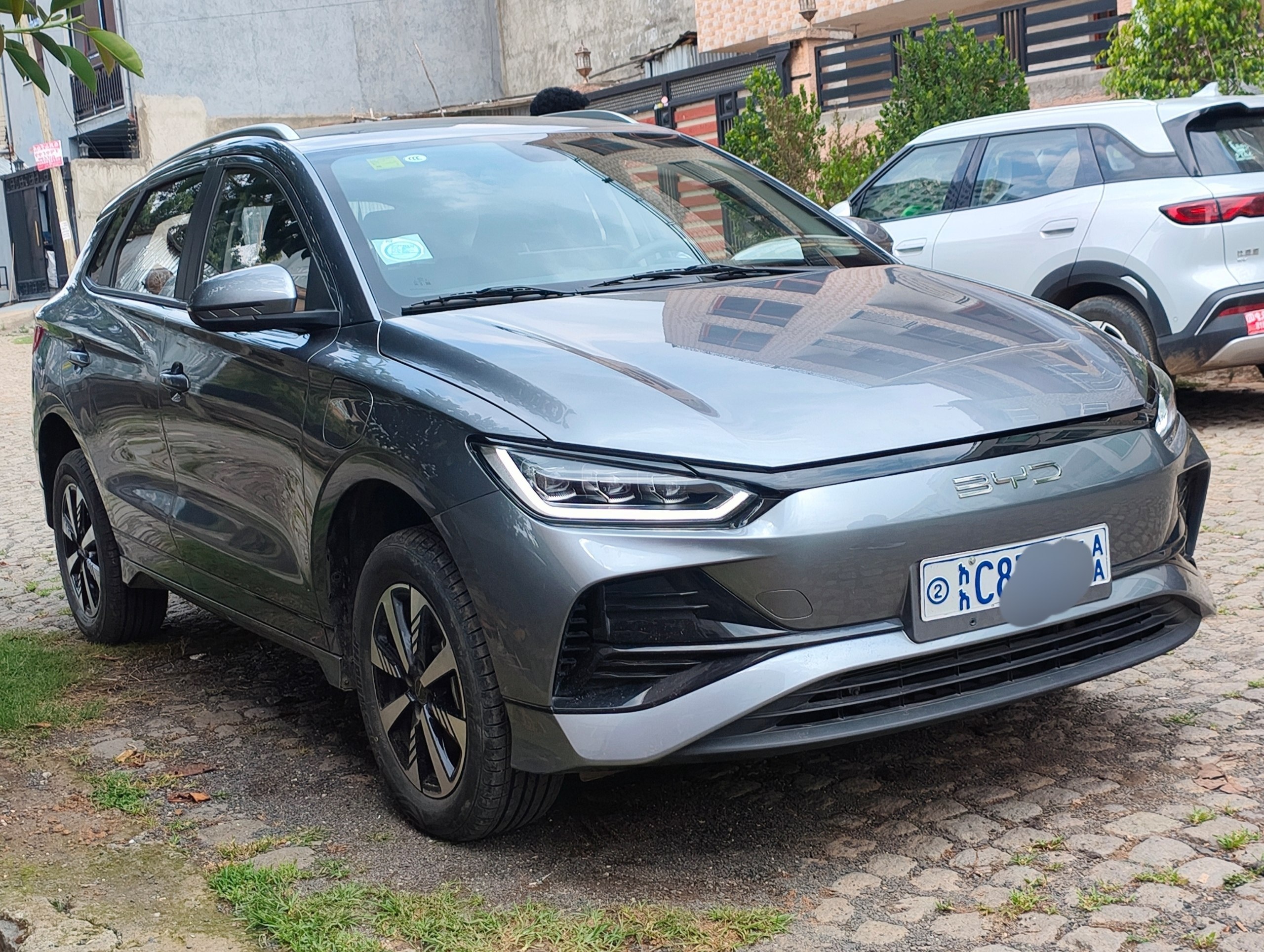 2025 Model-BYD E2