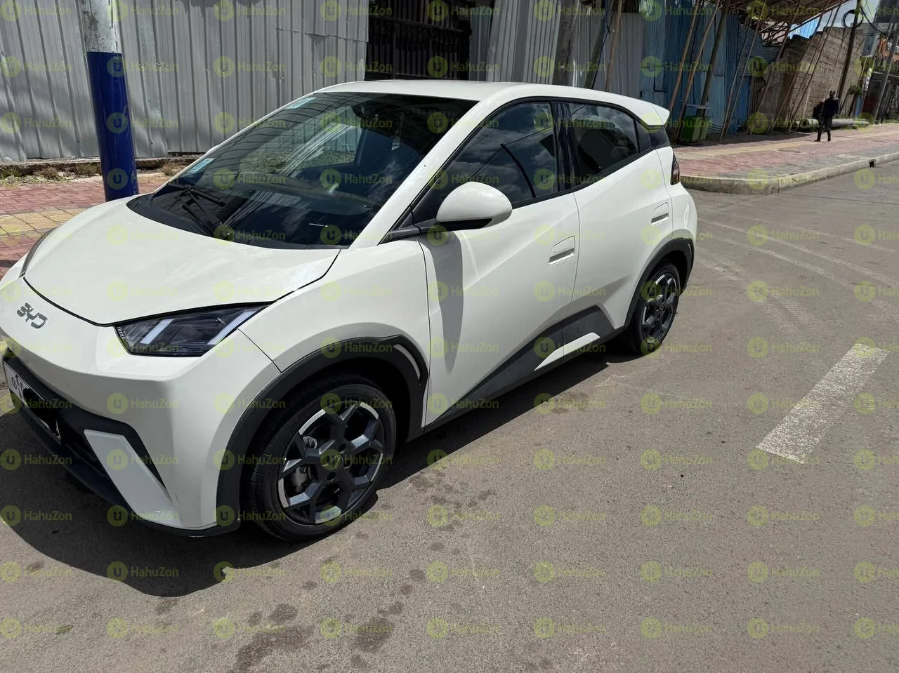 2024 Model-BYD Segull