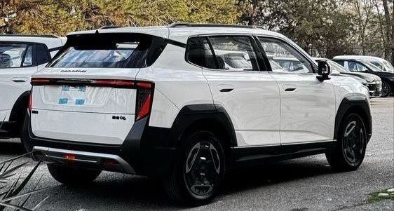 2025 Model-Dongfeng Nammi 06