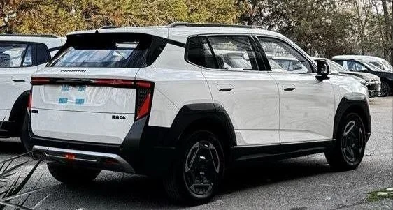 2025 Model-Dongfeng Nammi 06
