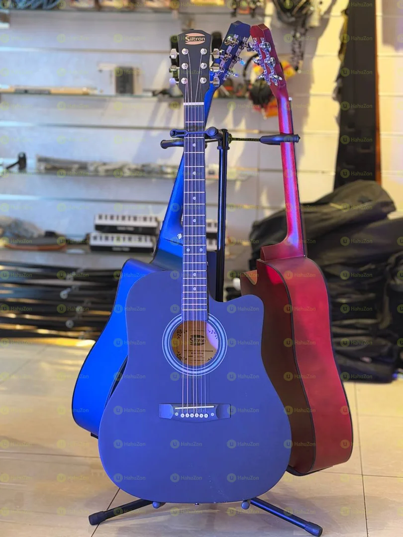 Siltron Guitar