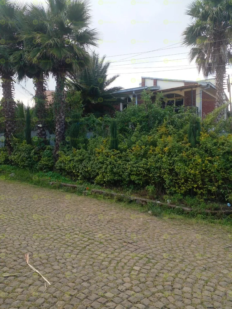 500 ካሬ የሚሸጥ ቤት በአያት
