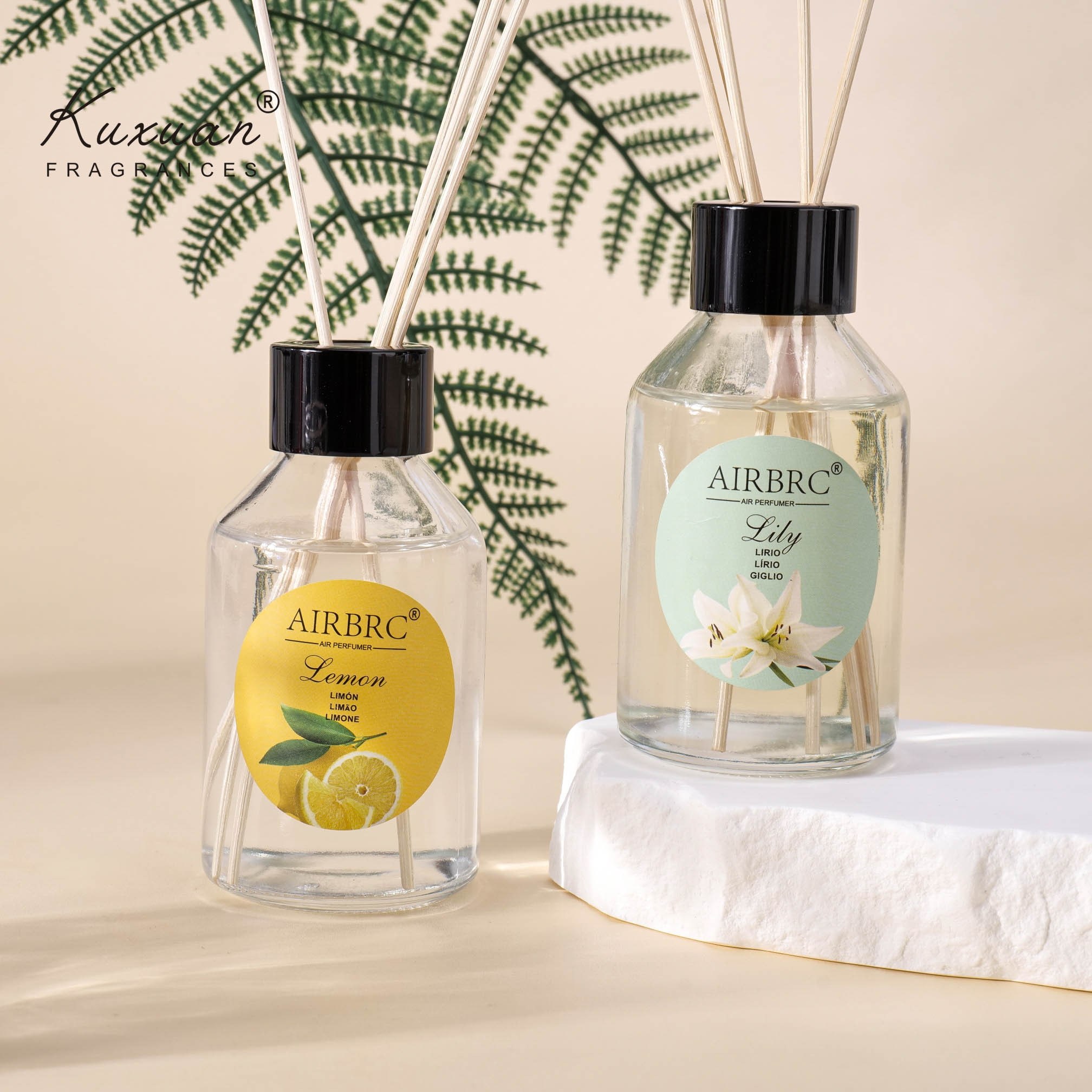 Airbrc Reed Diffuser