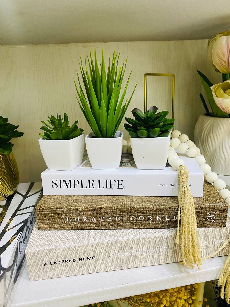 Set of 3 Mini Plant