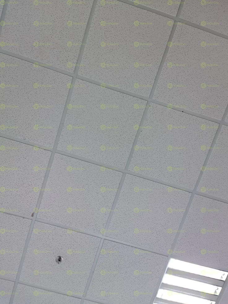 Pvc Ceiling 60*60