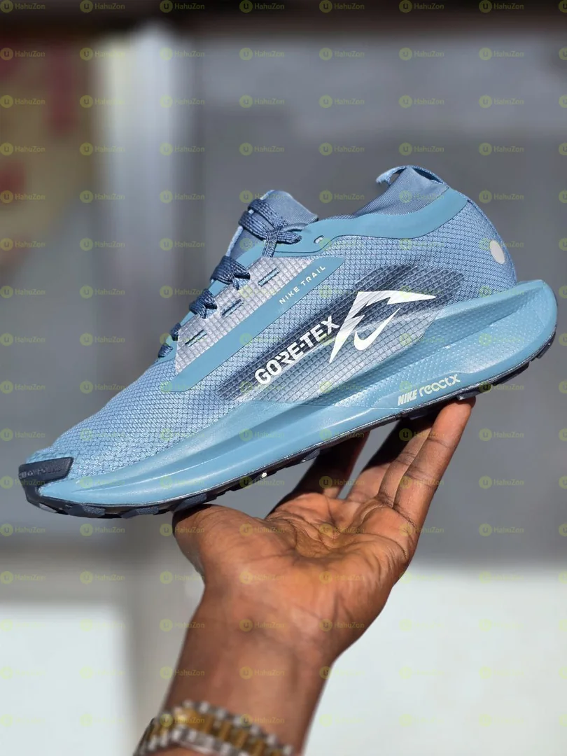 Nike Pegasus Men's Shoes