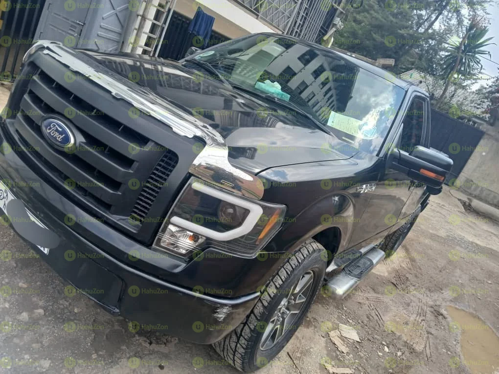 2011 Model-Ford F150