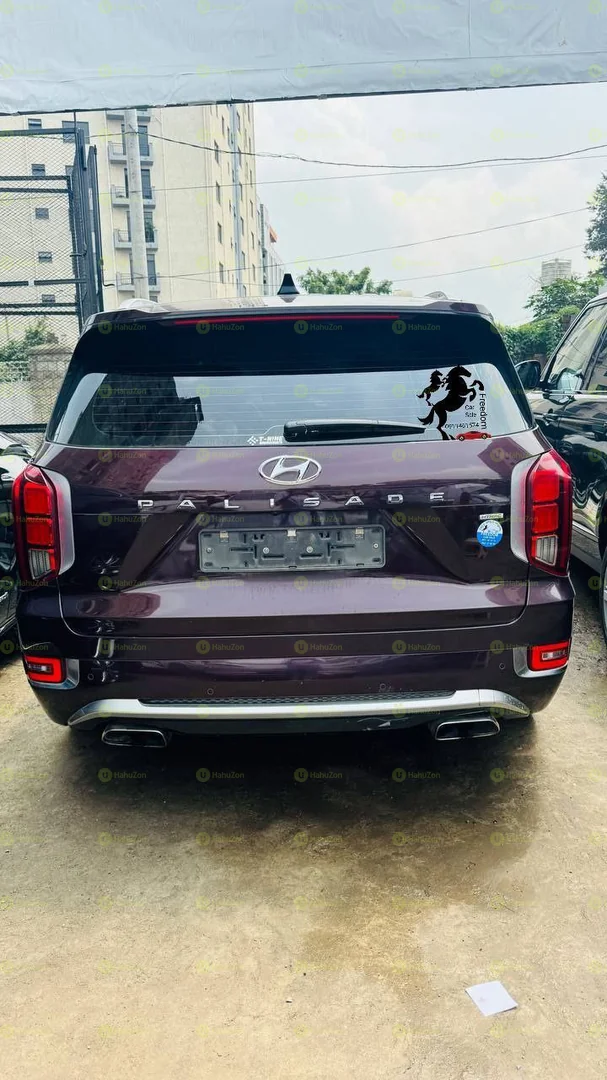 2022 Model-Hyundai Palisade