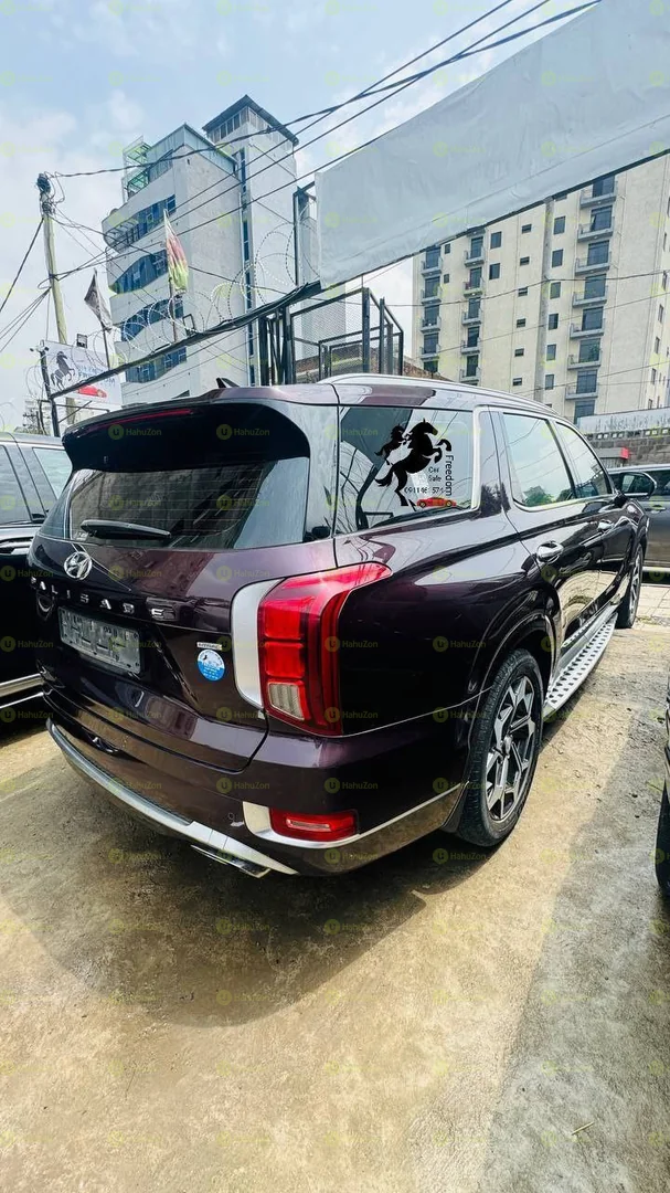 2022 Model-Hyundai Palisade