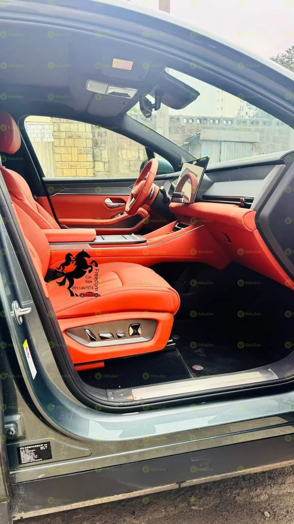 2025 Model-BYD Tang L Dpilot +