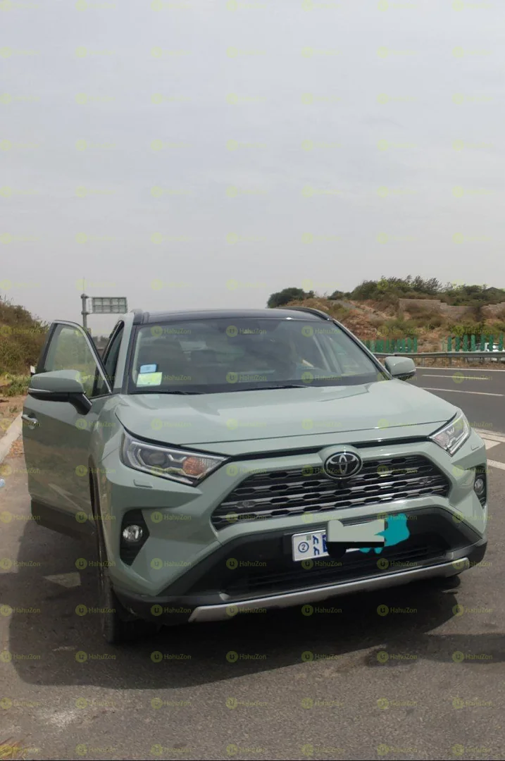 2020 Model-Toyota Rav4