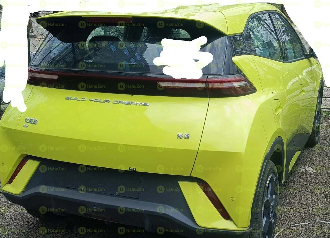 2024 Model-BYD Seagull