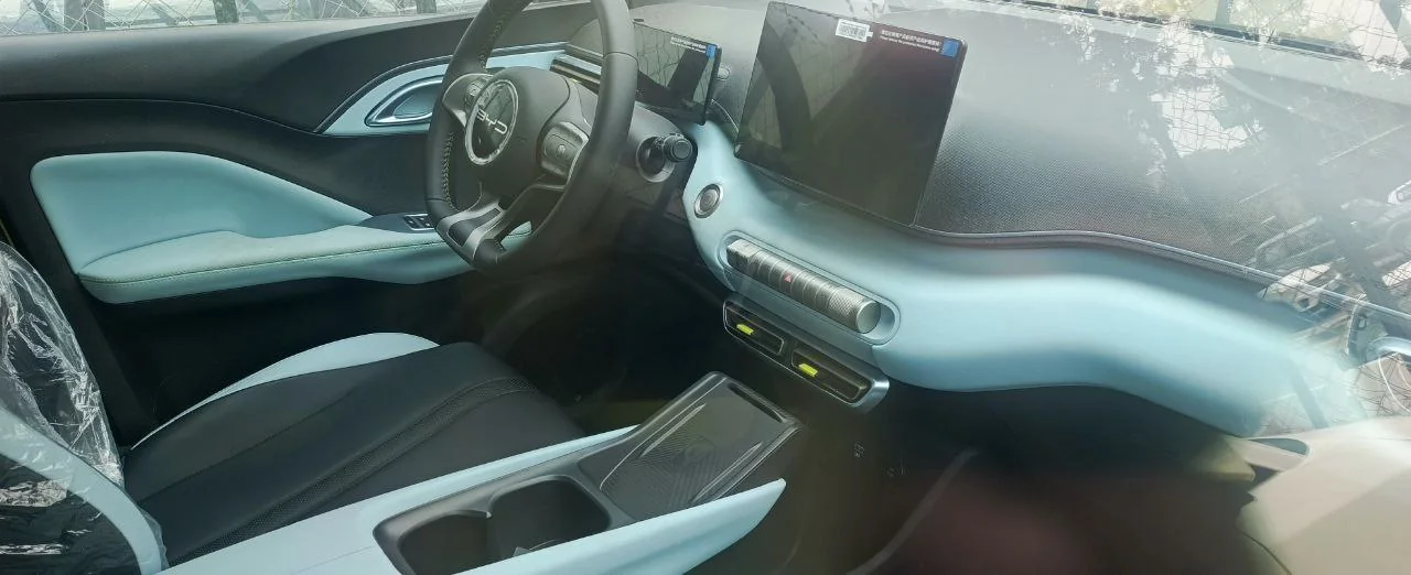 2024 Model-BYD Seagull