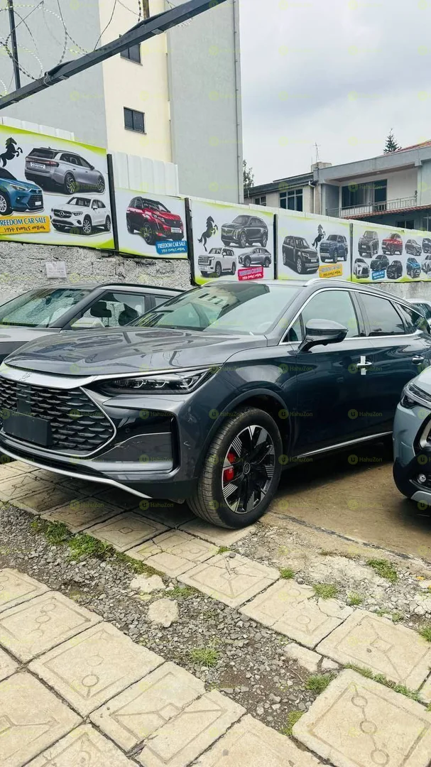 2024 Model-BYD Tang DM-I Plug-in Hybrid Champion