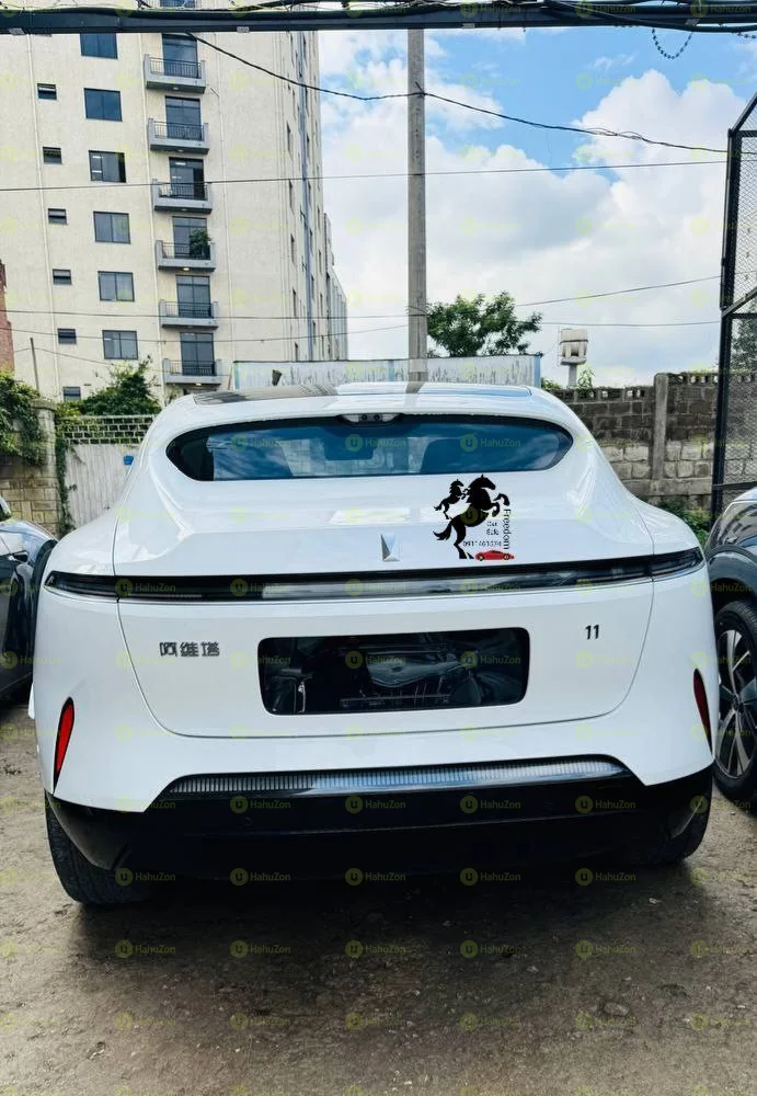 2025 Model-Avatar 11 EV