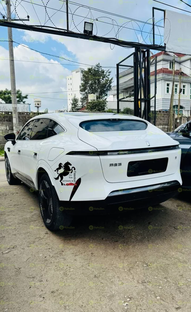 2025 Model-Avatar 11 EV