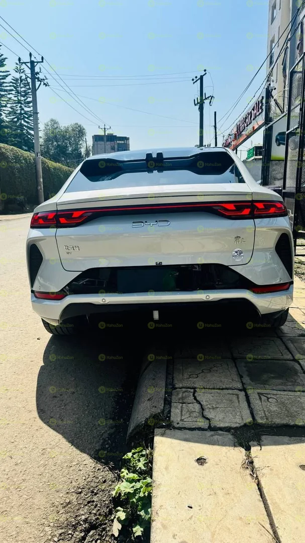 2024 Model-BYD Song L