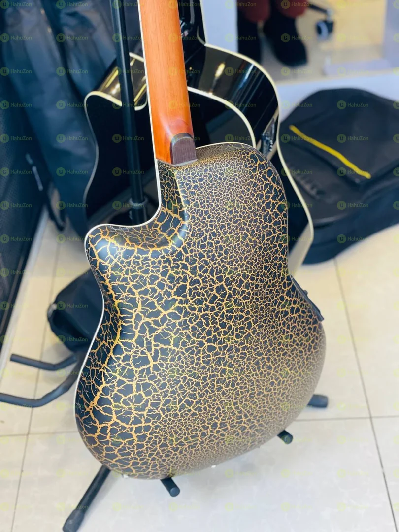 Semi Acoustic Guitar