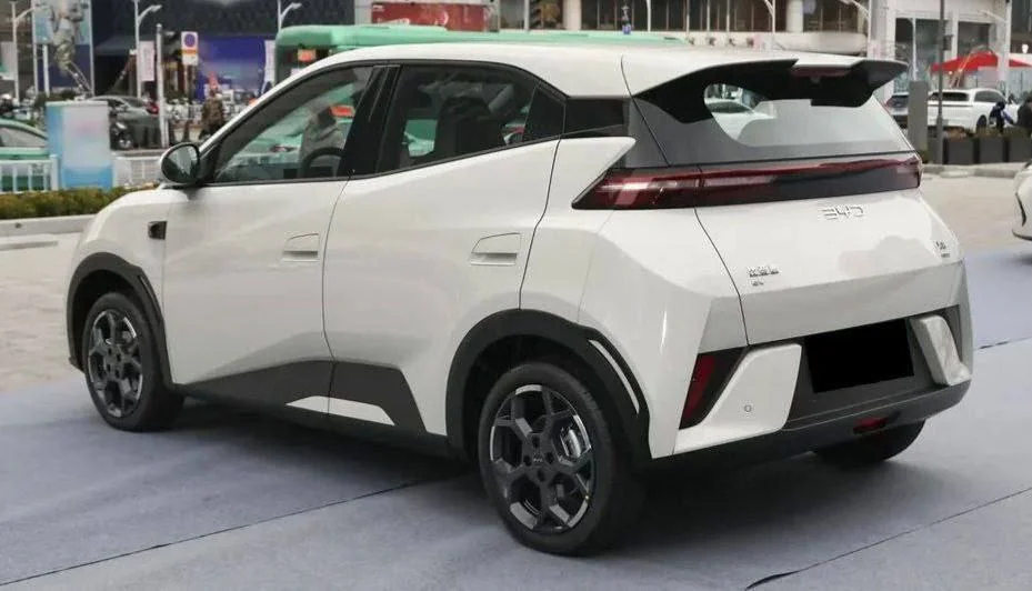 2025 Model-BYD Seagull