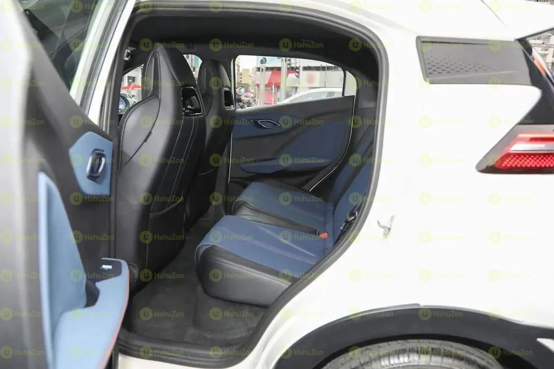 2025 Model-BYD Seagull