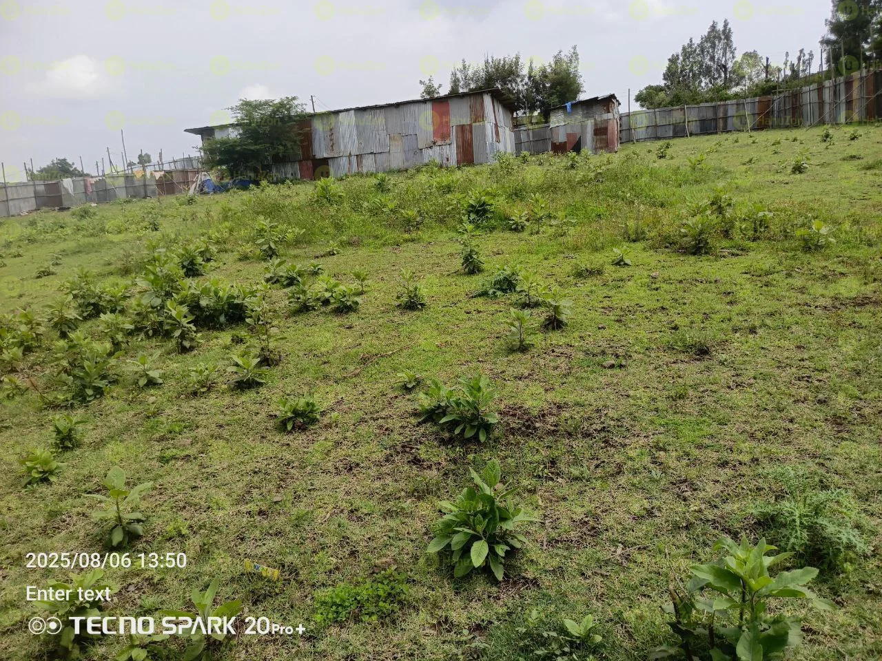 2500 ካሬ የሚሸጥ ቦታ በቃሊቲ