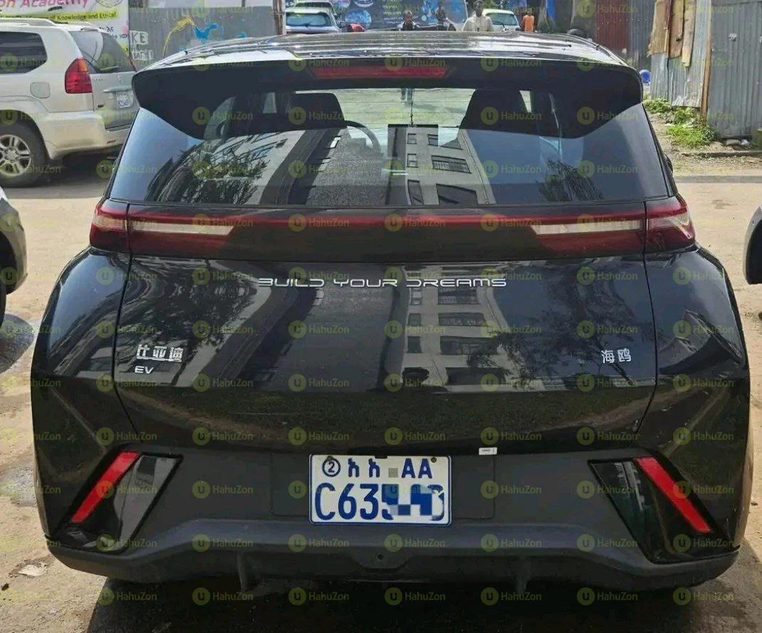 2024 Model-BYD Segul