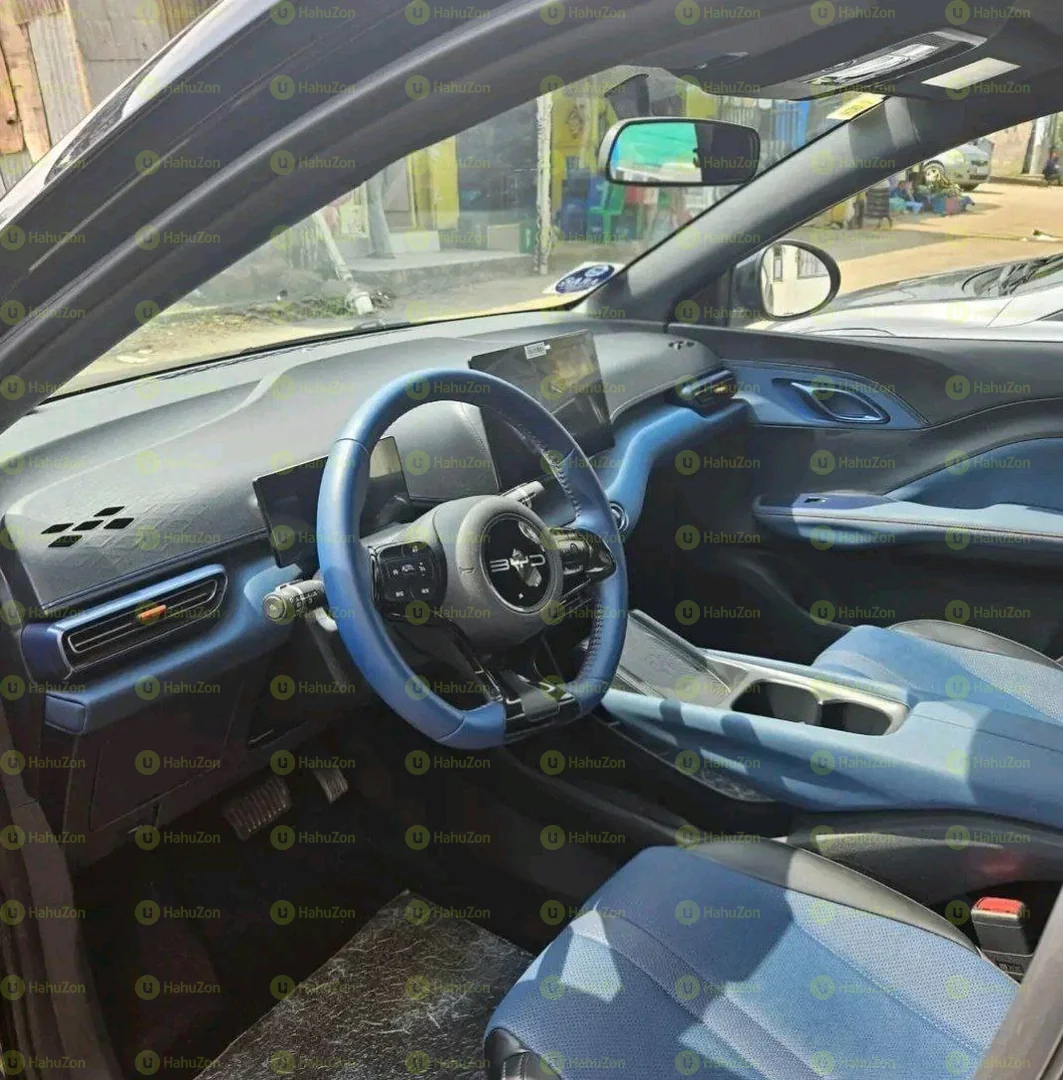 2024 Model-BYD Segul