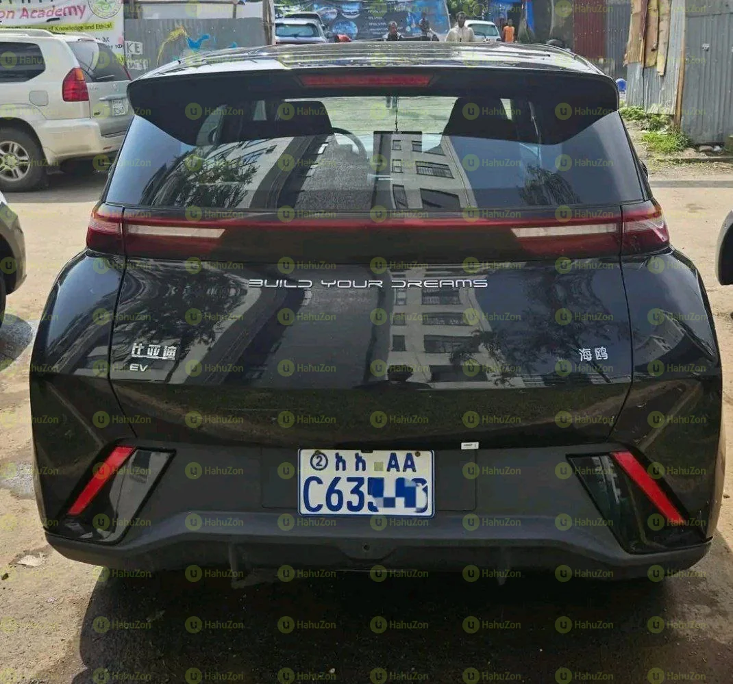 2024 Model-BYD Segul