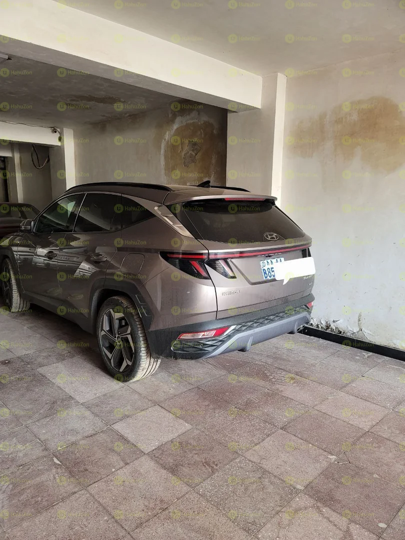 2021 Model-Hyundai Tucson