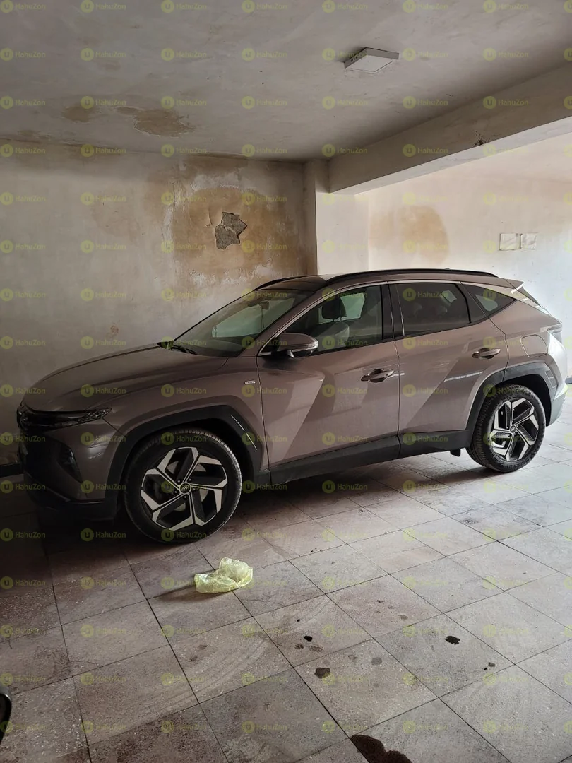 2021 Model-Hyundai Tucson