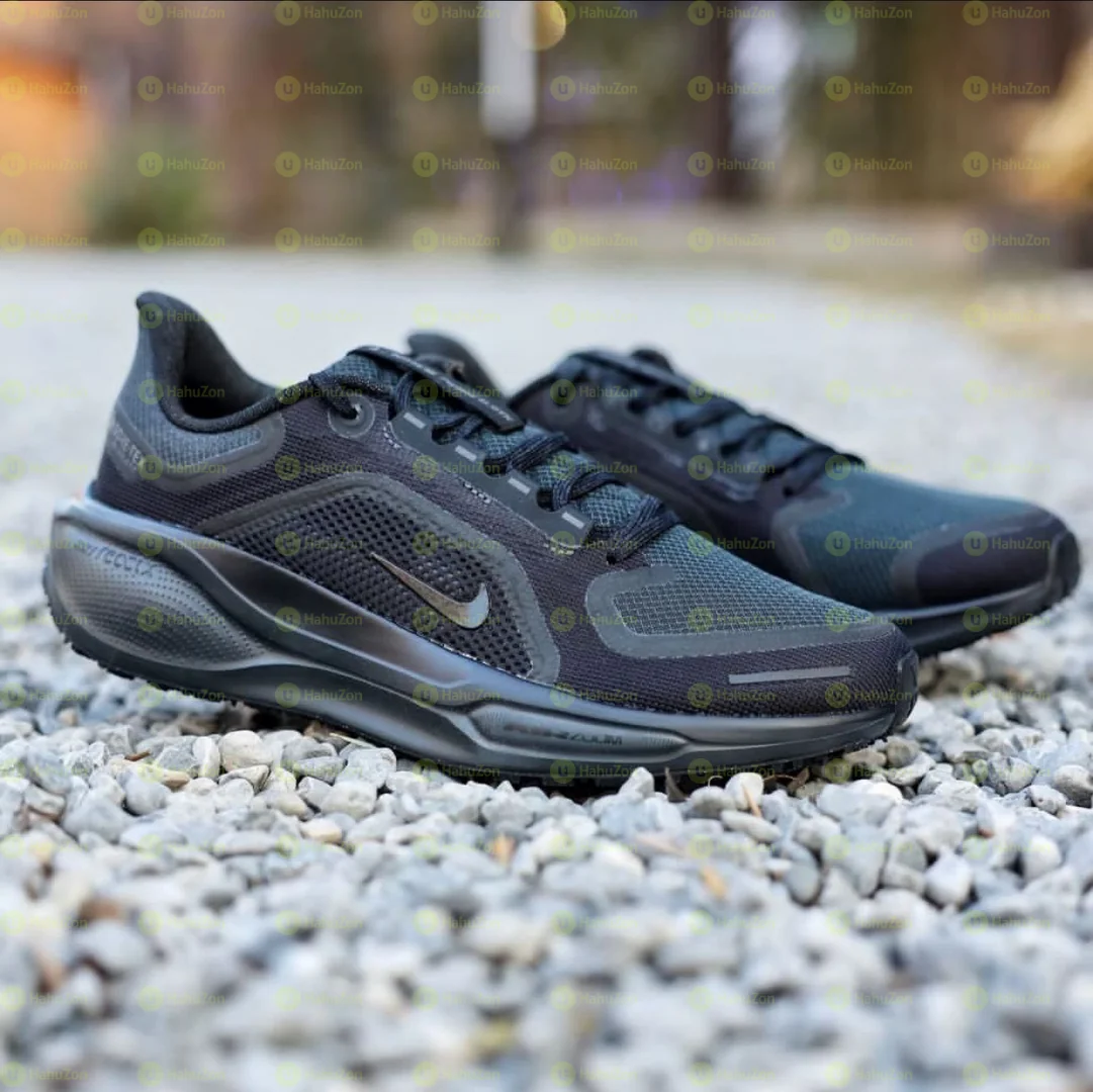 Nike Pegasus Gortex Men's Shoes