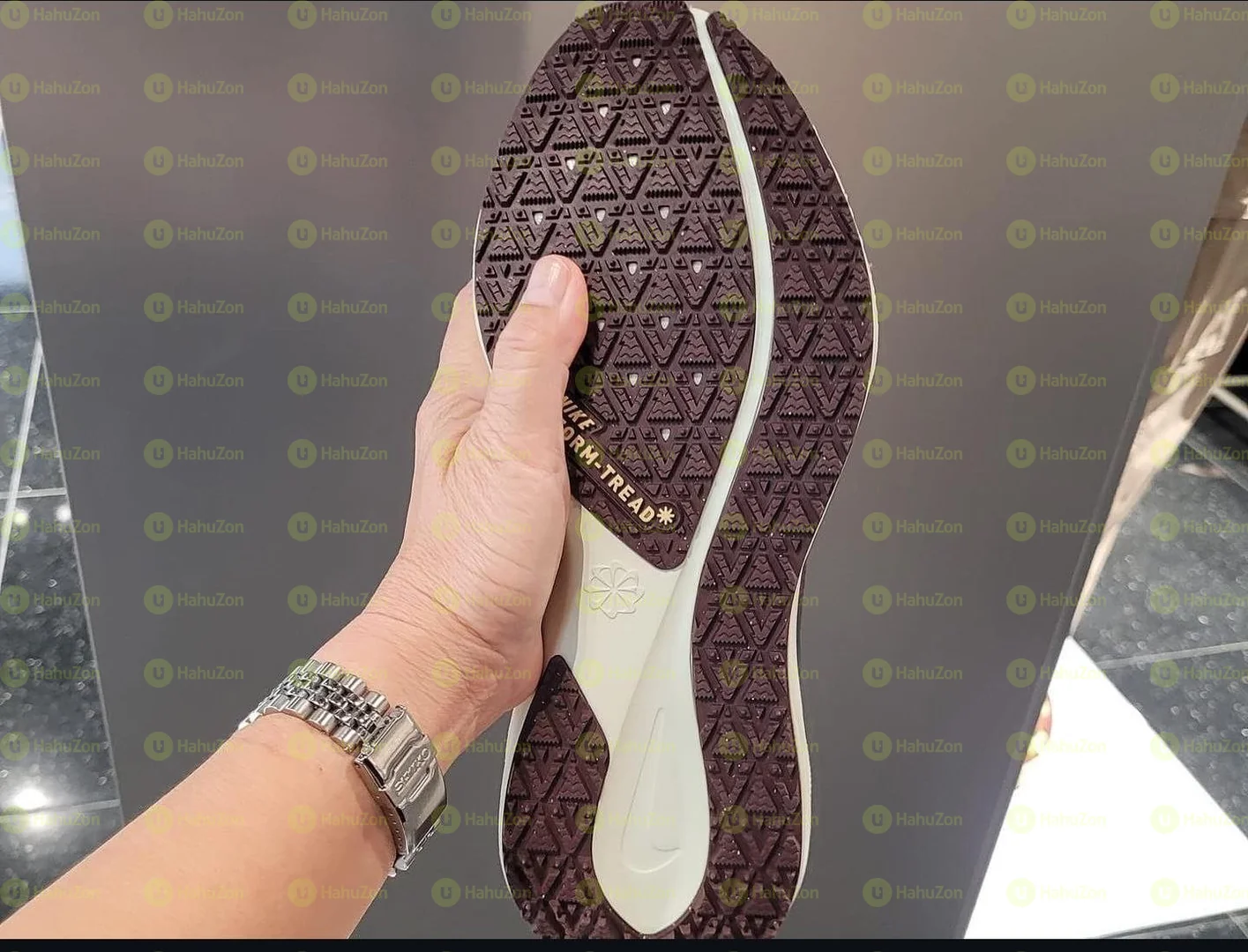 Nike Pegasus Gortex Men's Shoes