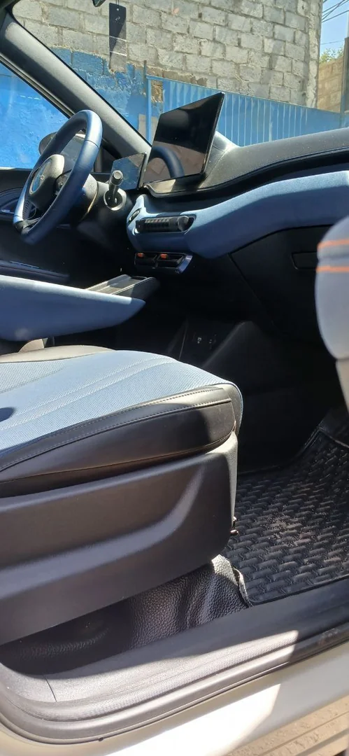 2024 Model-BYD Seagull